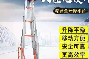 無錫雙桅鋁合金升降機   生產(chǎn)廠家